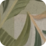 Tropical Palms